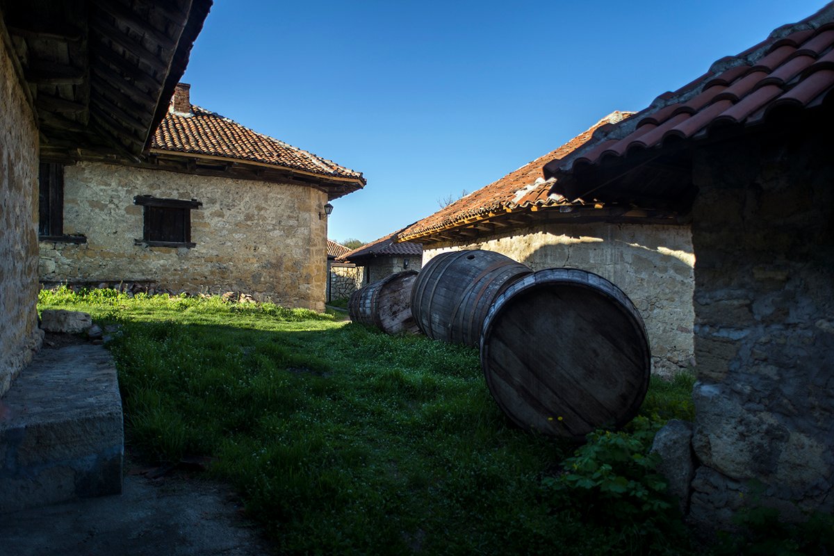 Rajački podrumi vina - vekovna tradicija