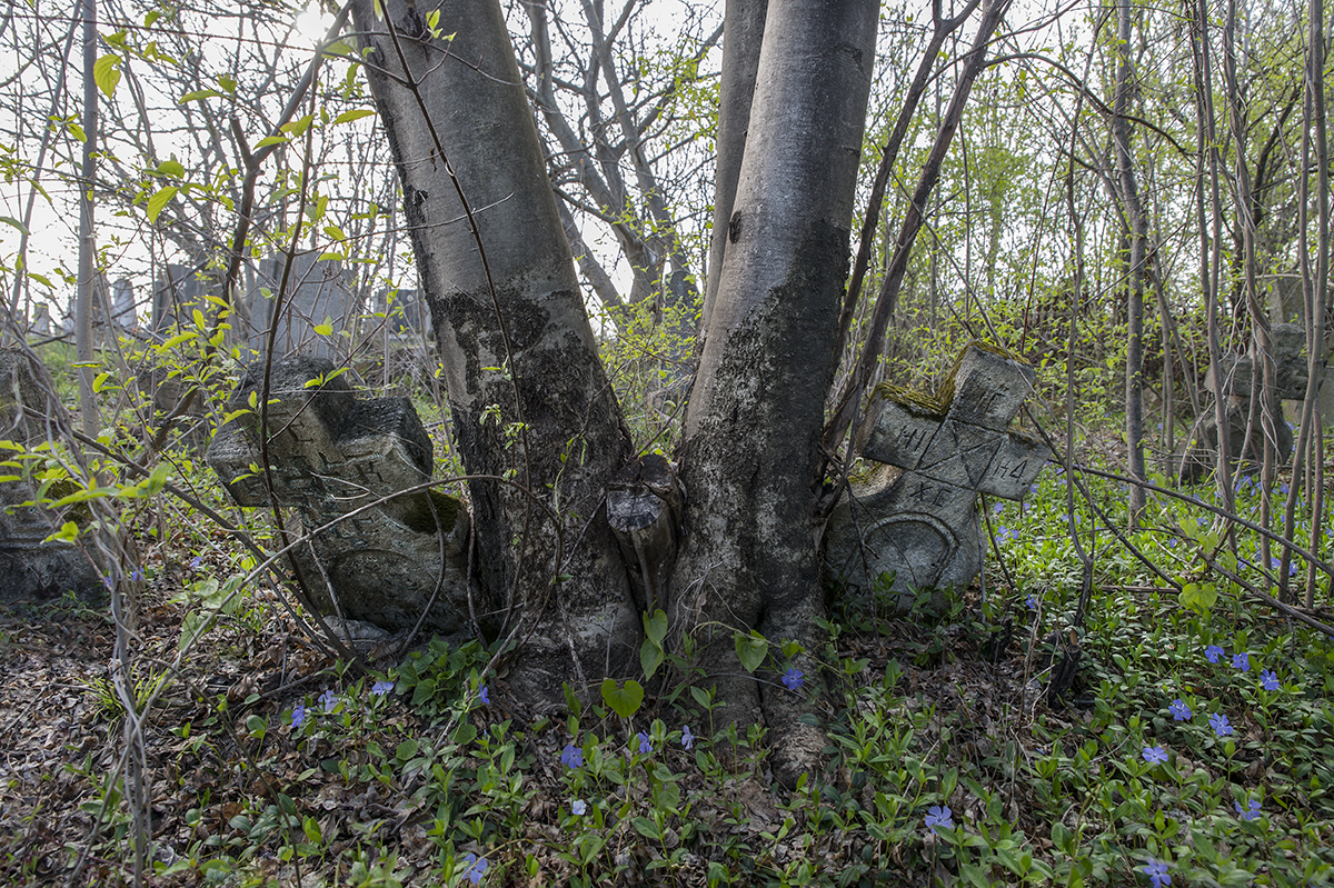 rajac_by_mikica_andrejic_61